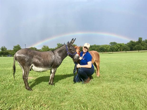 Susannah kneeling in a wet field beside a soaked donkey, a rainbow arching behind them after heavy rain.