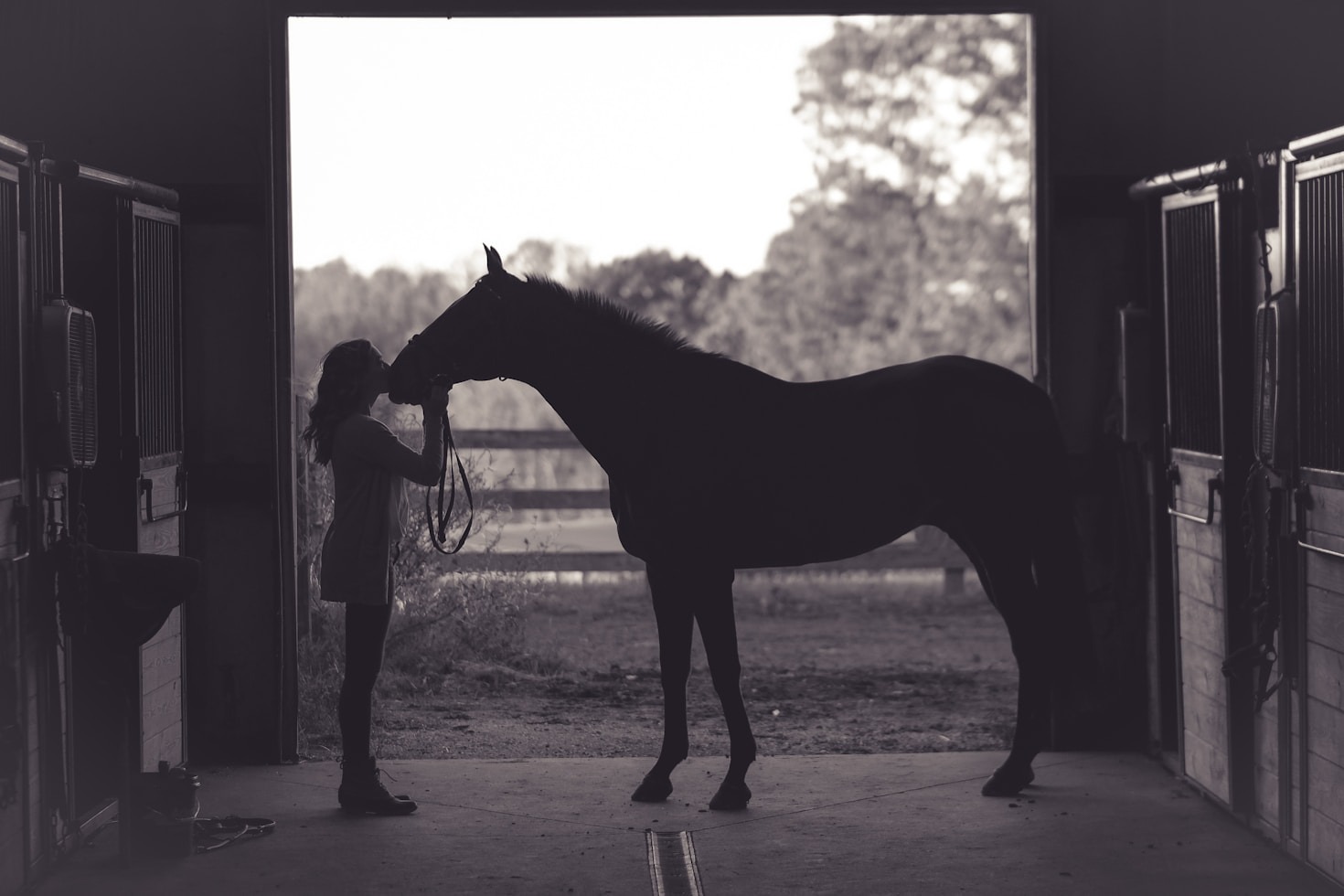 Top Five Gifts for the Horse Lover in Your Life